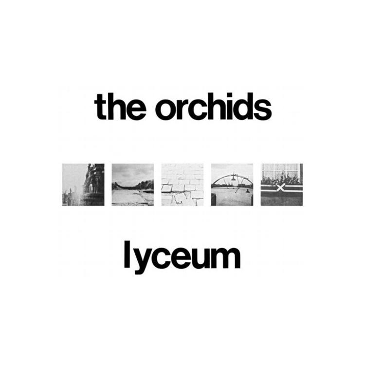ORCHIDS - Lyceum