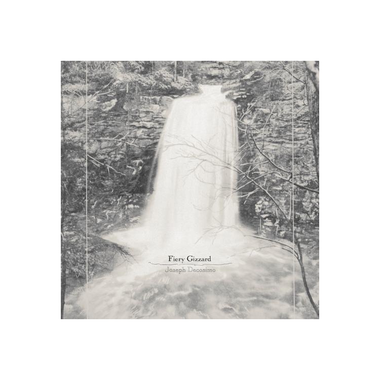 JOSEPH DECOSIMO - Fiery Gizzard [lp]