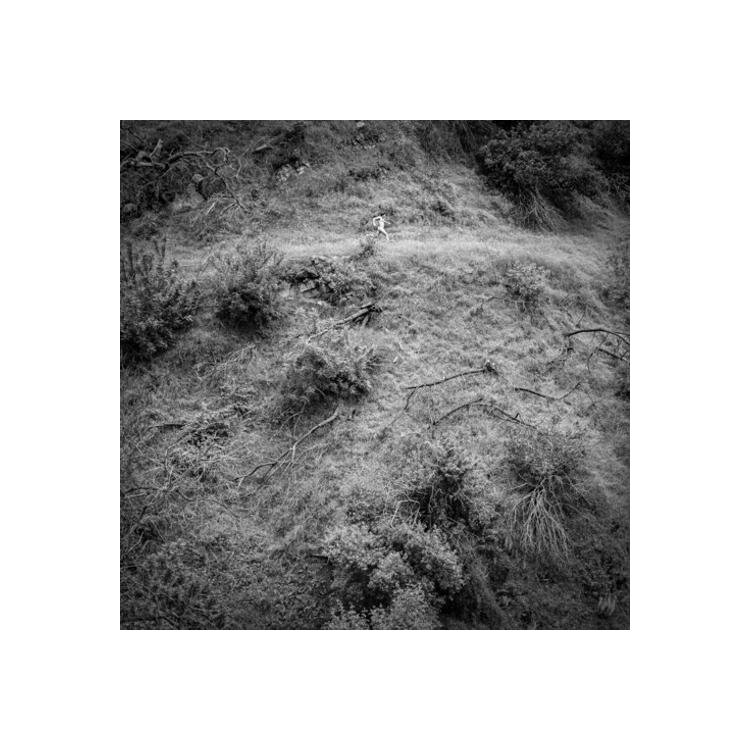 ANNA TIVEL - Animal Poem [lp]