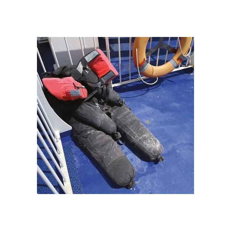 THOMAS ANKERSMIT - DIP