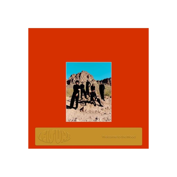 LEISURE - Welcome To The Mood (Limited Orange Coloured Vinyl)