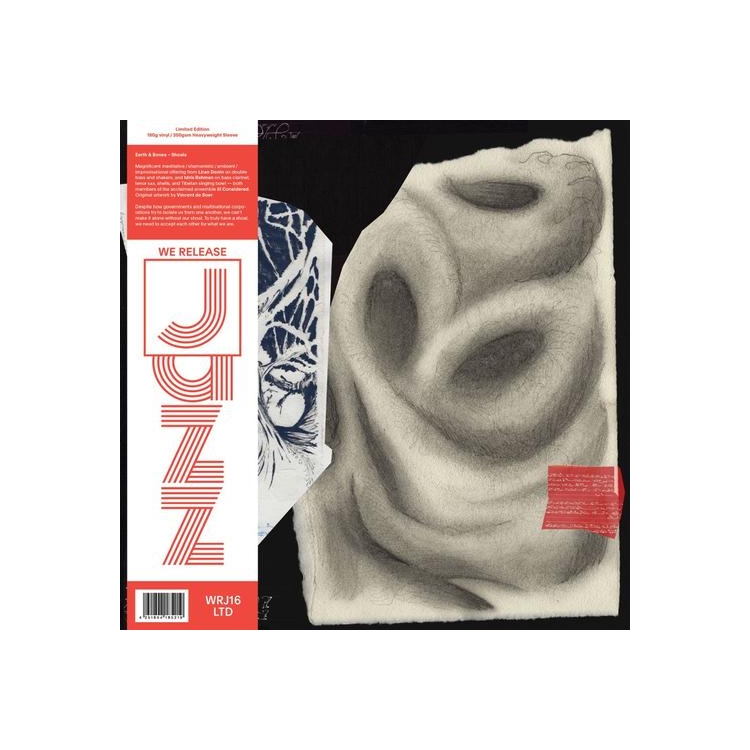 EARTH AND BONES - Shoals (Vinyl)