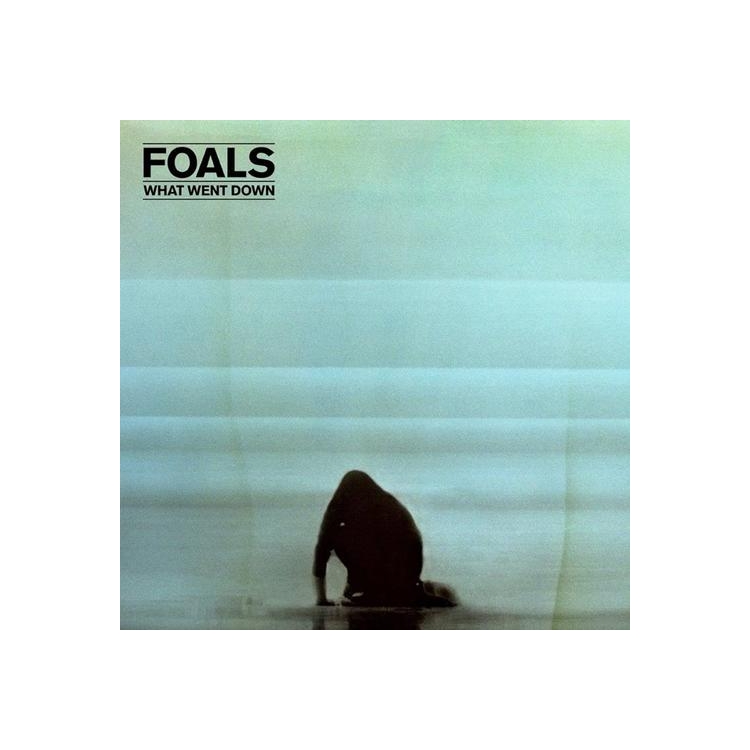 FOALS - What Went Down (10th Anniversary)