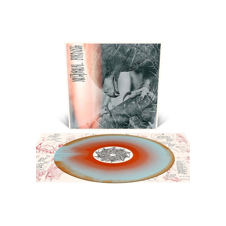 AUTHOR & PUNISHER - Nocturnal Birding (Custom Merge Vinyl)