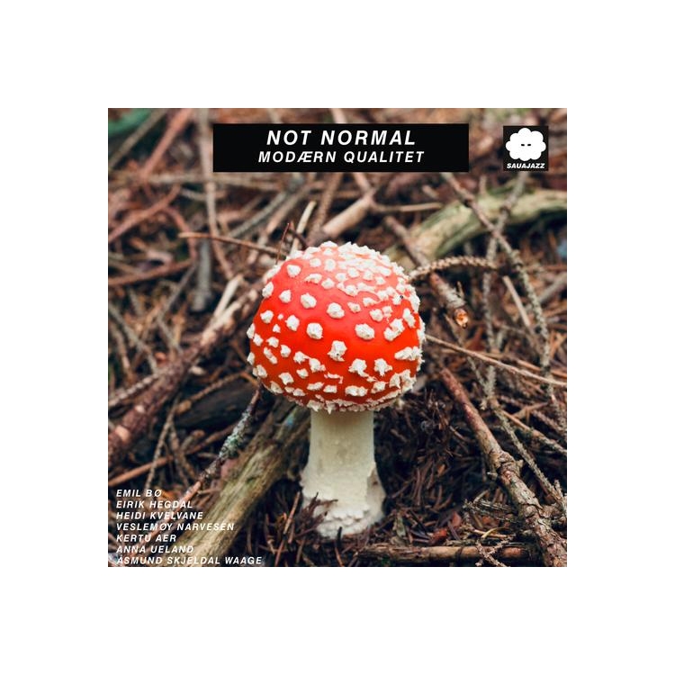 NOT NORMAL - Modærn Qualitet