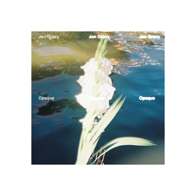 JON GRAVY - Opaque (Vinyl)