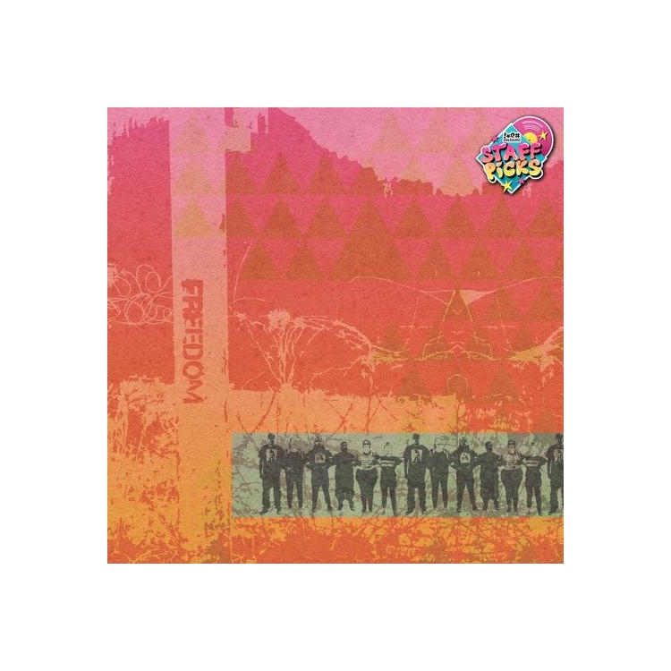 LEANNE BETASAMOSAKE SIMPSON - Live Like The Sky