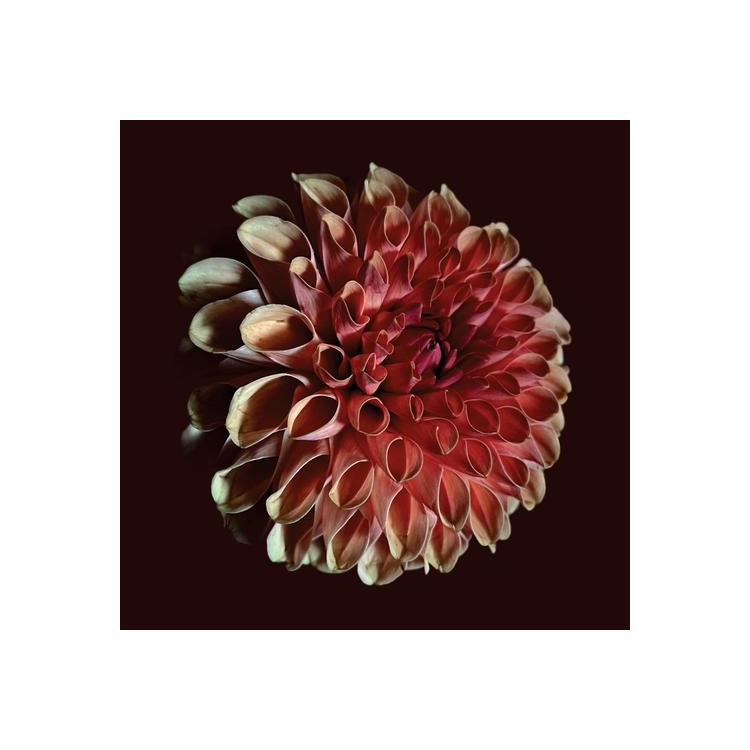 JESSICA MOSS - Unfolding