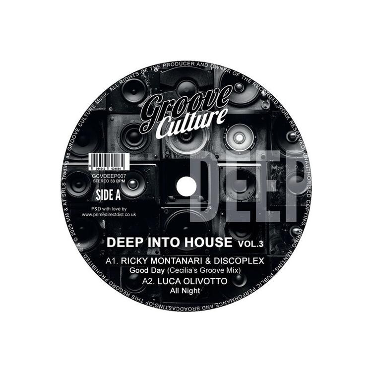 VARIOUS ARTISTS - Deep Into House Vol.3