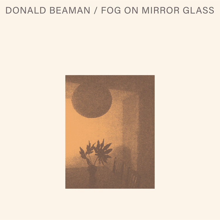 DONALD BEAMAN - Fog On Mirror Glass