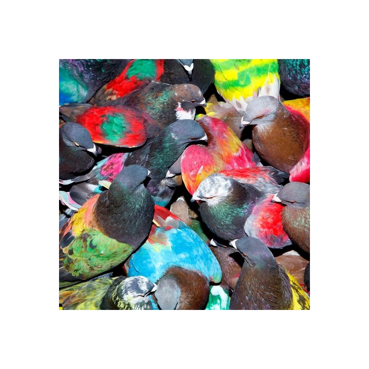 BLAWAN - Sickelixir (Vinyl)