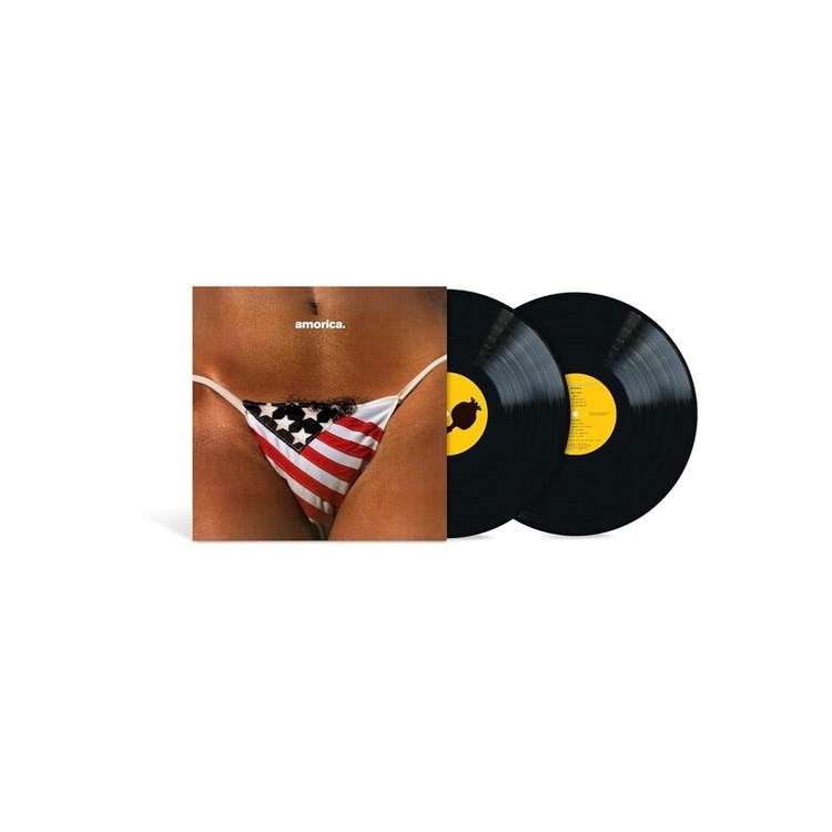 BLACK CROWES - Amorica