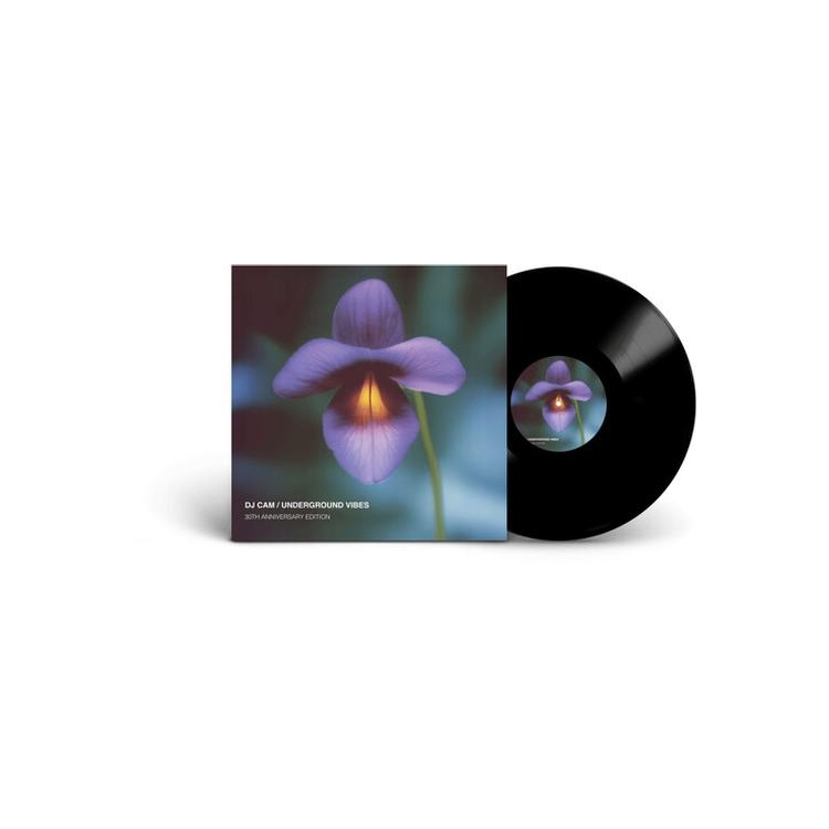 DJ CAM - Underground Vibes (30th Anniversary)