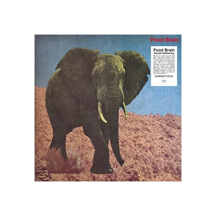 FOOD BRAIN - Social Gathering (Limited Edition)