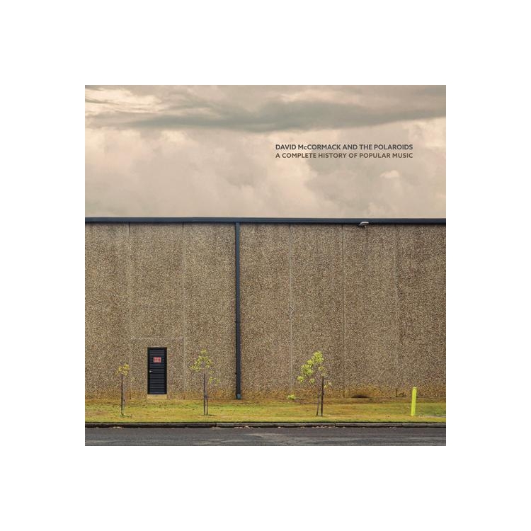 DAVID MCCORMACK AND THE POLAROIDS - A Complete History Of Popular Music (Red Recycled Vinyl)