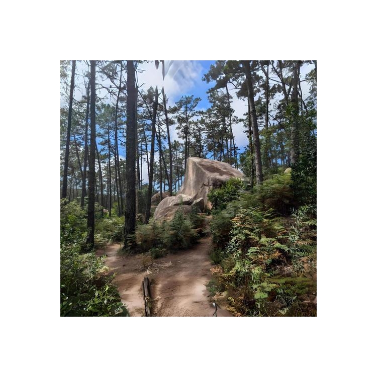 PARAJEKT - Parajekt (Vinyl)