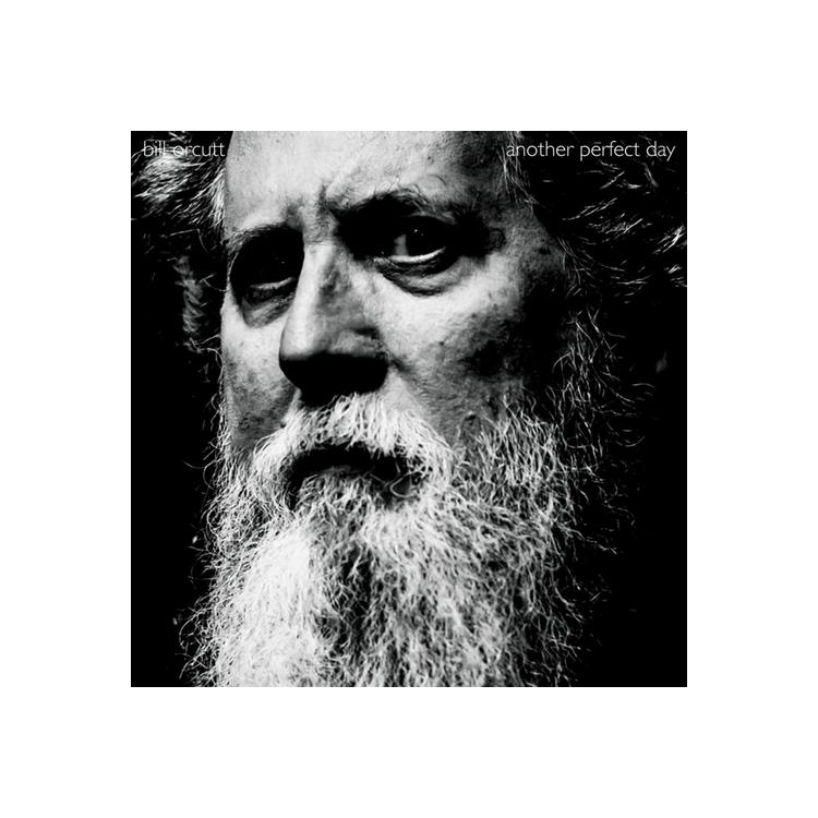 BILL ORCUTT - Another Perfect Day