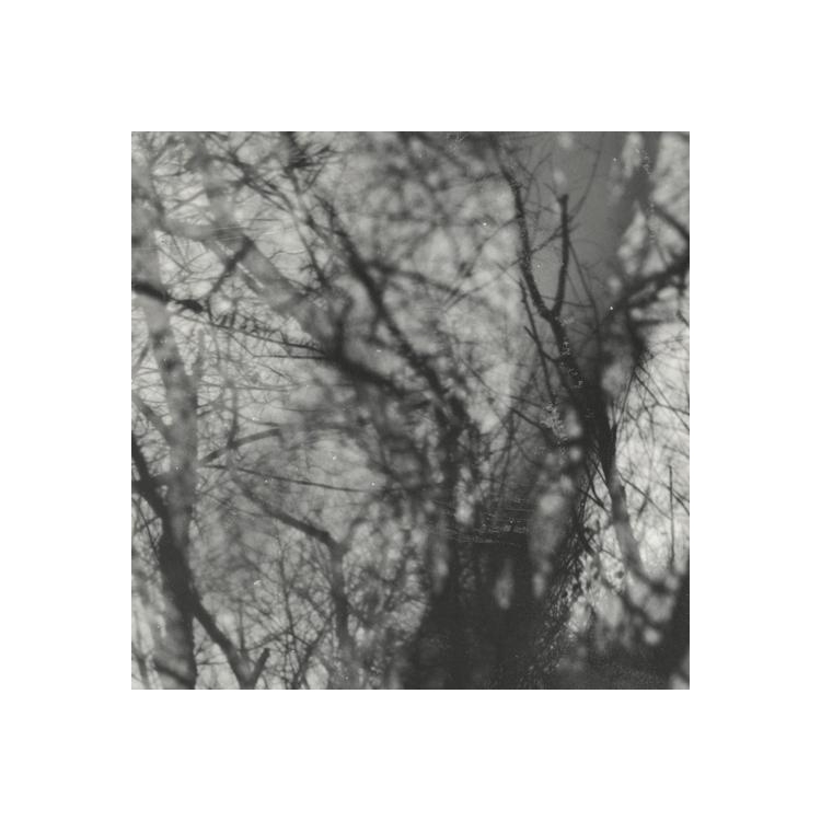 GROUPER - Way Their Crept