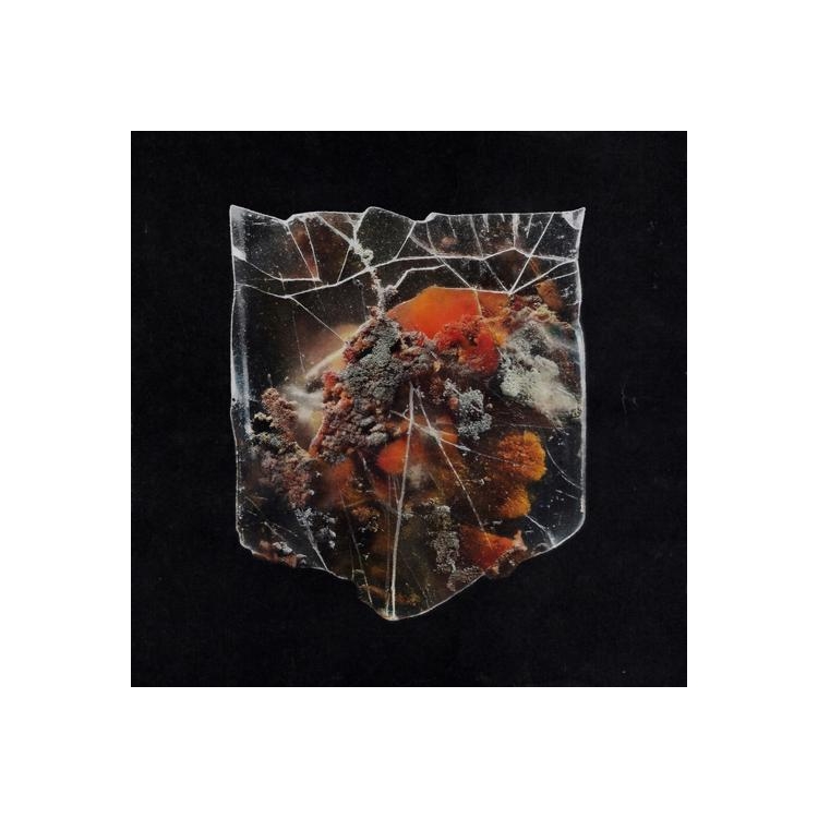 SHIELDS - Death & Connection (Splattered Milk/black Orange Vinyl)