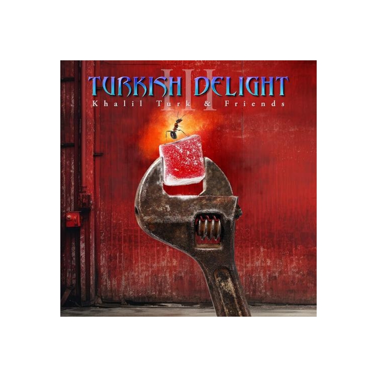 VARIOUS ARTISTS - Turkish Delight Volume Three / Various