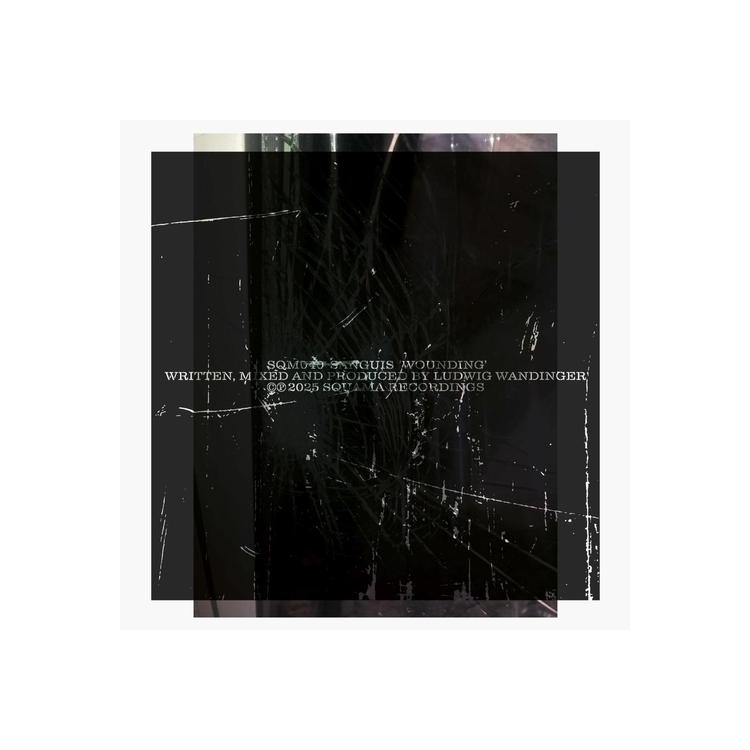 SANGUISUGABOGG - Wounding (Vinyl)