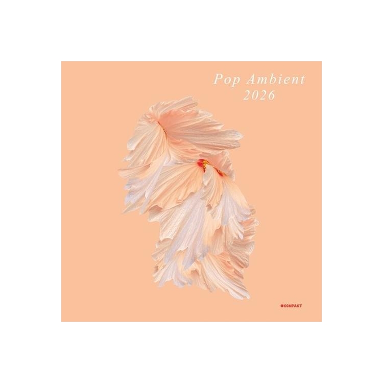 VARIOUS ARTISTS - Pop Ambient 2026