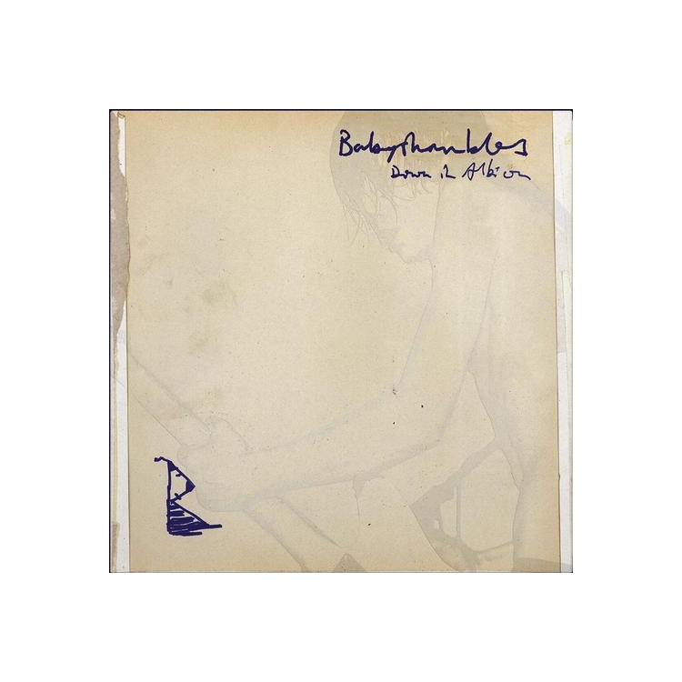 BABYSHAMBLES - Down In Albion (20th Anniversary Edition)