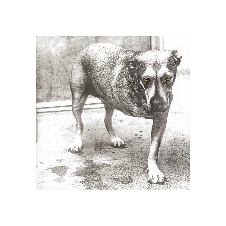 ALICE IN CHAINS - Alice In Chains [2lp] (Translucent Highlighter Yellow Vinyl, 30th Anniversary)