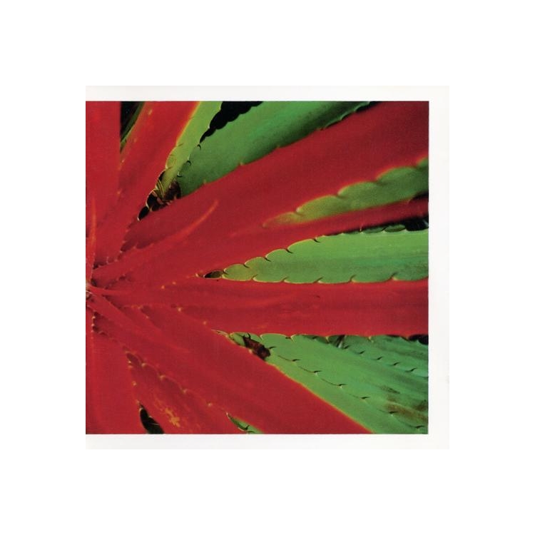 JEJUNE - This Afternoons Malady