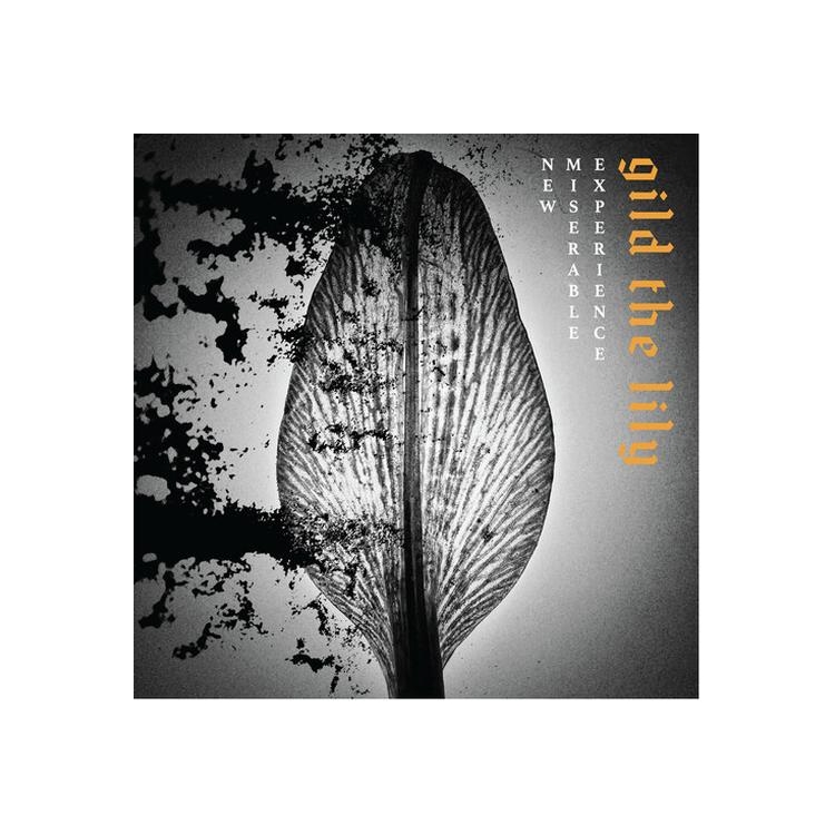 NEW MISERABLE EXPERIENCE - New Miserable Experience [lp]