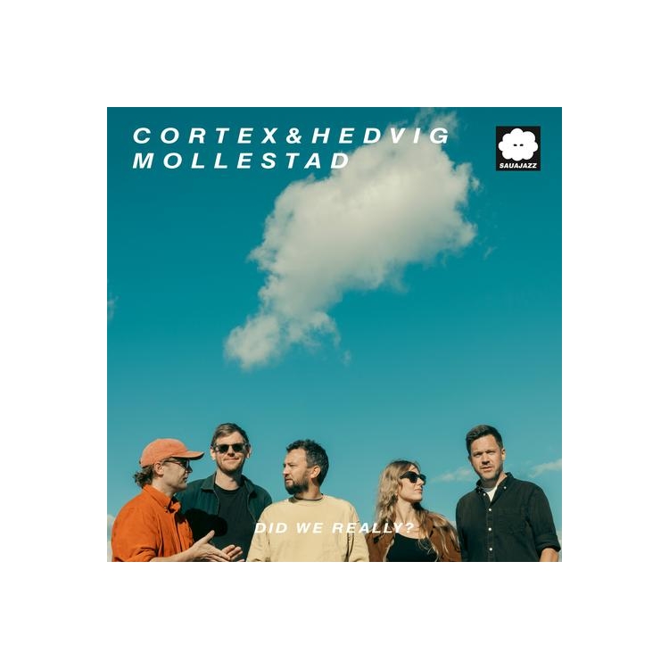 HEDVIG MOLLESTAD - Did We Really? (Sky Blue Vinyl)