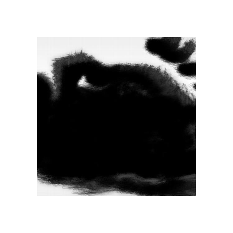 RAFAEL ANTON IRISARRI - Points Of Inaccessibility