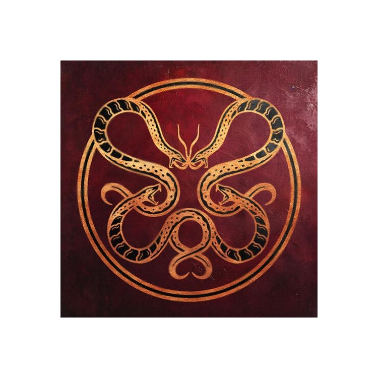 VICIOUS RAIN - Anatomy Of Surviving (Limited Edition Red/black Marbled Vinyl)