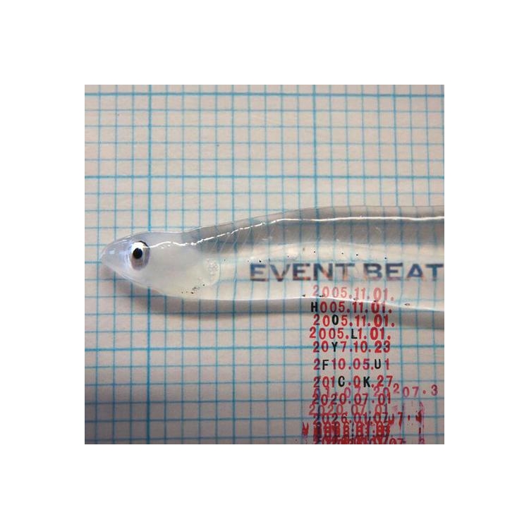 HOLY FUCK - Event Beat