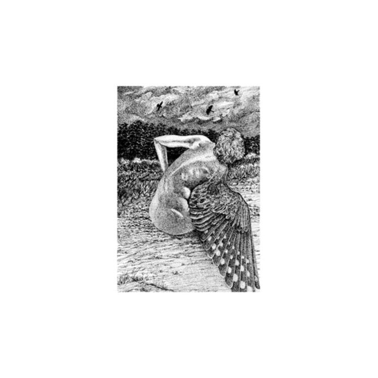 PATRICK LYSAGHT - For The Birds