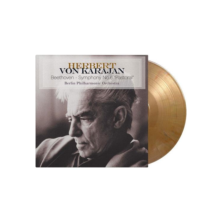LUDWIG VAN BEETHOVEN - Symphony No.6 Pastoral
