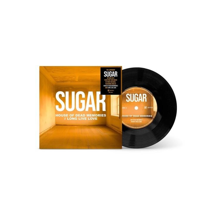 HOUSE OF DEAD MEMORIES - Long Live Love [7'] (Limited) [embargo Till 1/21/2026]