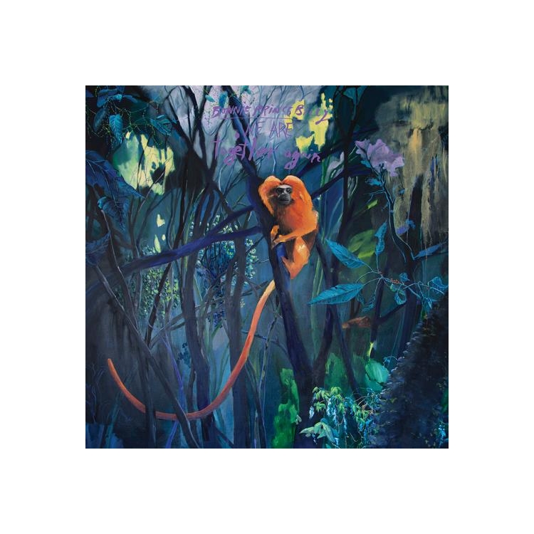 BONNIE 'PRINCE' BILLY - We Are Together Again [lp]