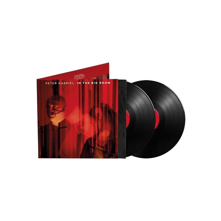 PETER GABRIEL - In The Big Room [2lp] (180 Gram, Download)