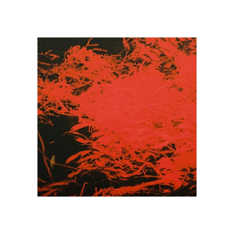 ANTHONY NAPLES - In Studio Magic (Vinyl)