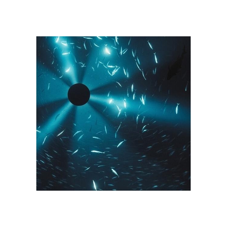 LAUREL HALO - Midnight Zone (Film By Julian Charriere) - O.S.T.