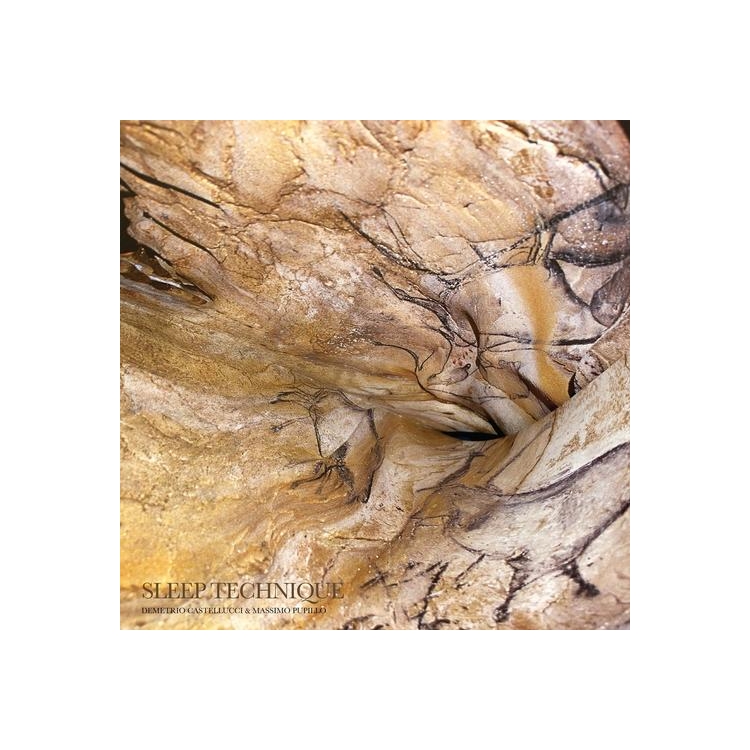 DEMETRIO CASTELLUCCI & MASSIMO PUPILLO - Sleep Technique (Vinyl)