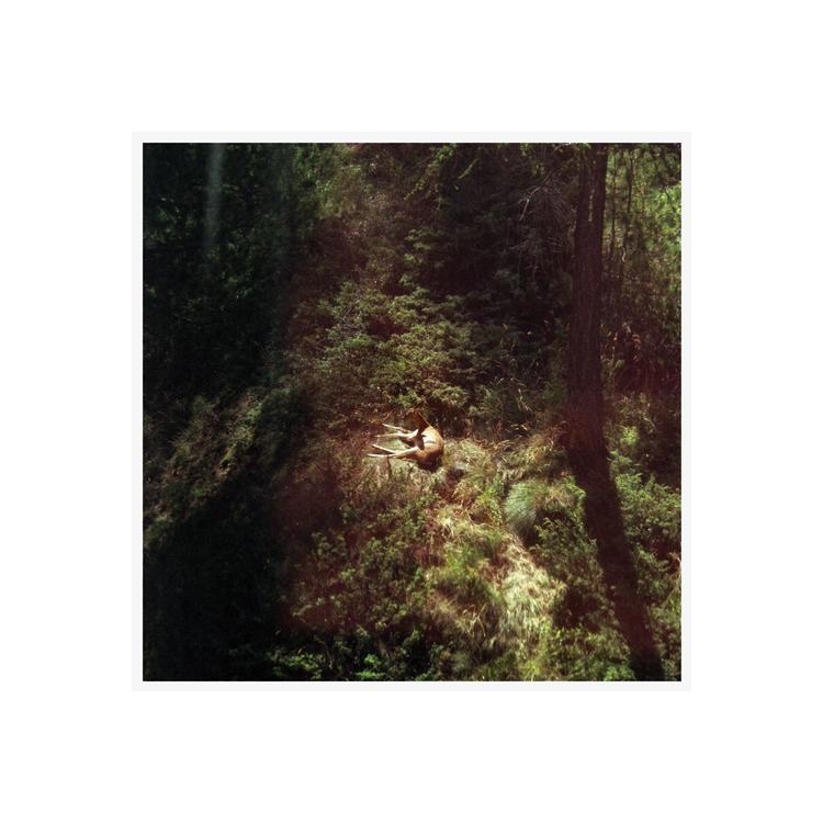 WILL SAMSON - Sings Again (Transparent Clear Vinyl)