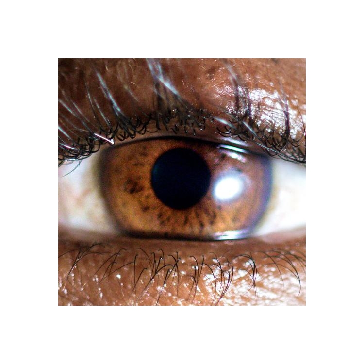 EVADNEY - It’s Dreaming (White Vinyl)