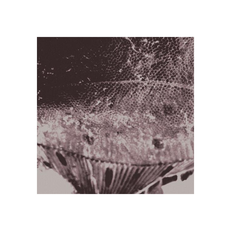 MARK IJZERMAN - Flounder Maps