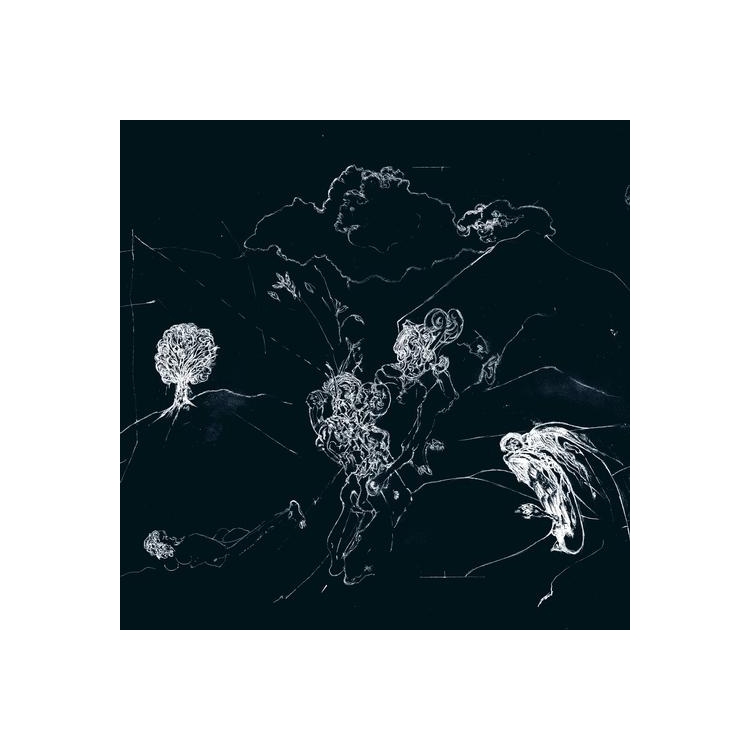 ANENON - Dream Temperature (Transparent Clear Vinyl)