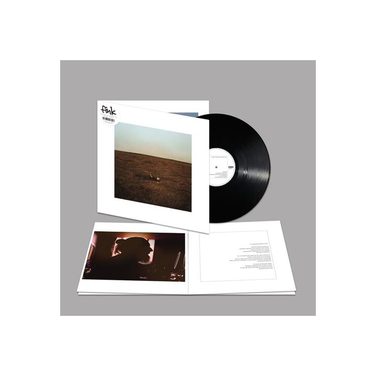 FINK - City Is Coming To Erase It All