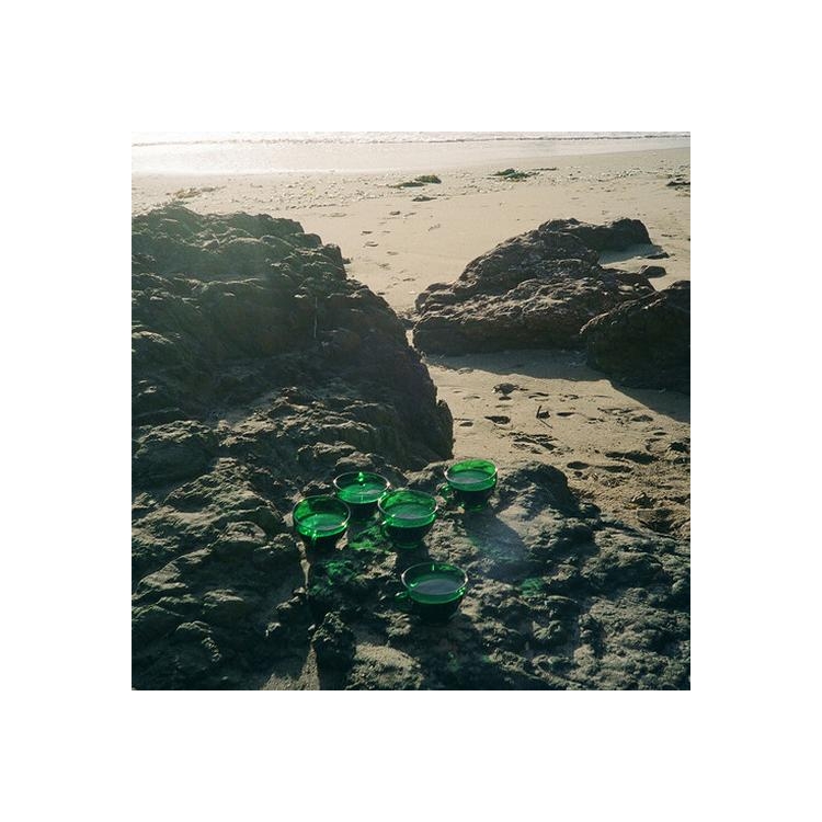 SAM BLASUCCI - Physical Dream [2lp]