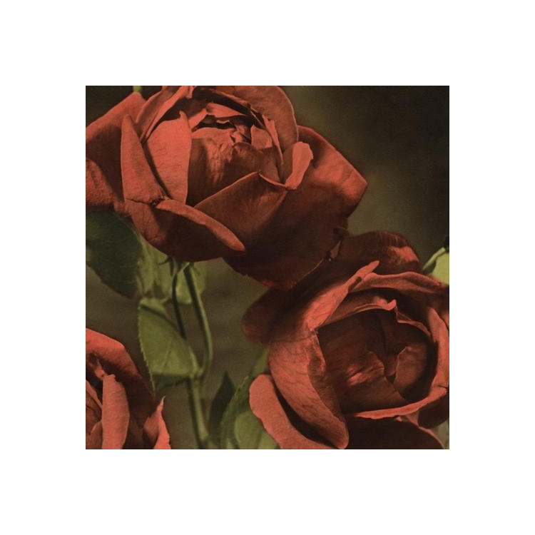 CINDY - Another Country (Vinyl)