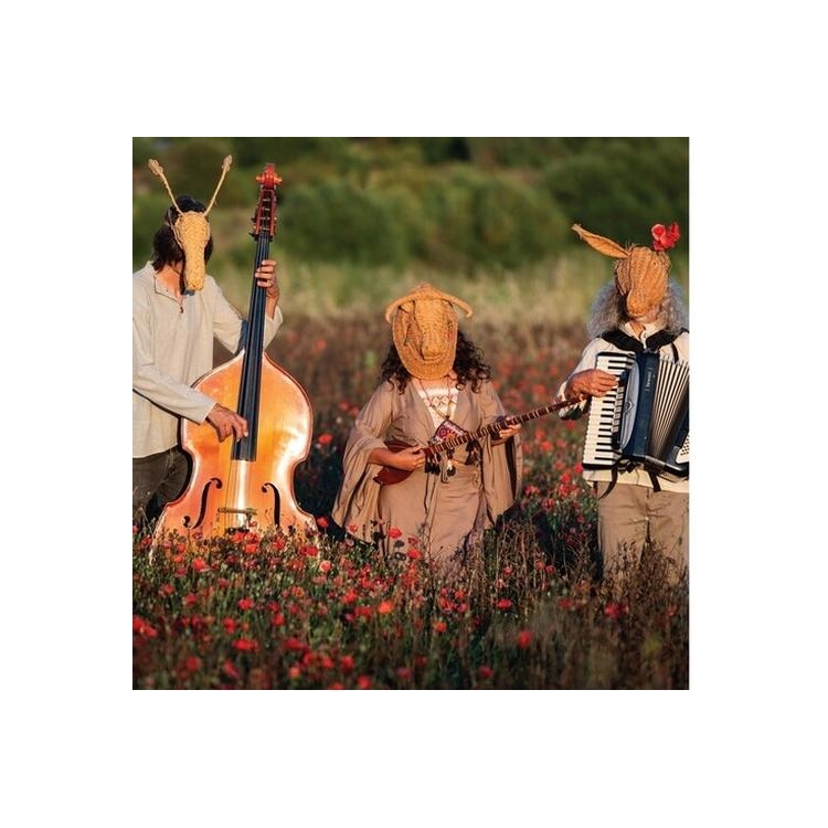 QANAT - Aigua Ballant